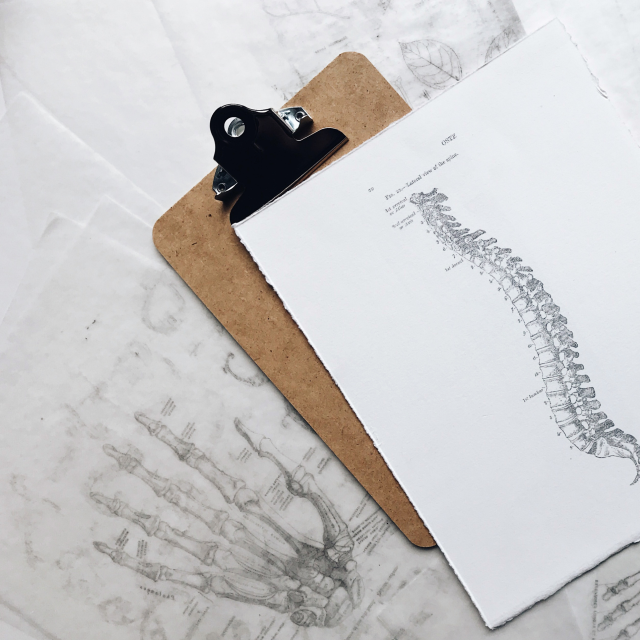 施術計画のご提案